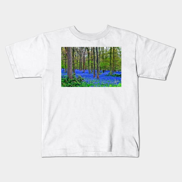 Bluebell Woods Greys Court Oxfordshire England UK Kids T-Shirt by AndyEvansPhotos
